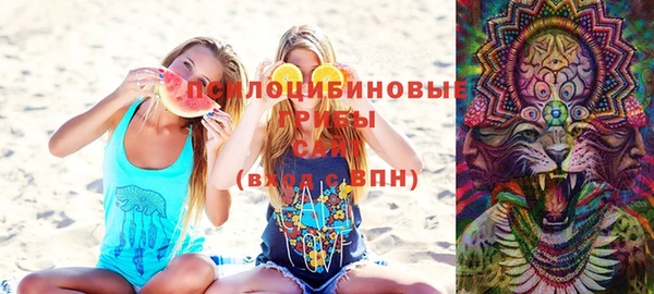 ГАЛЛЮЦИНОГЕННЫЕ ГРИБЫ Козловка